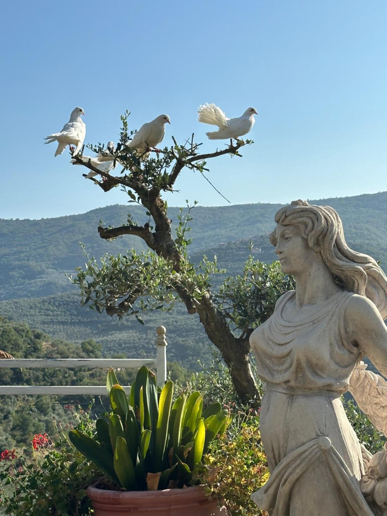 Villa Anna Torria Bagian luar foto